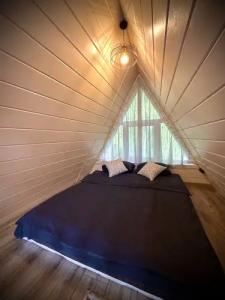 Три лисы - 74