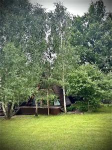 Три лисы - 38