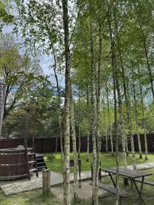 Три лисы - 24