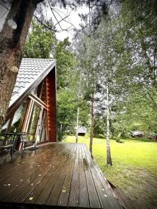 Три лисы - 40