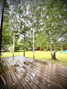 Три лисы - 39