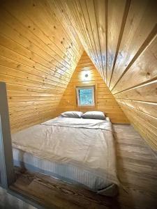 Три лисы - 50