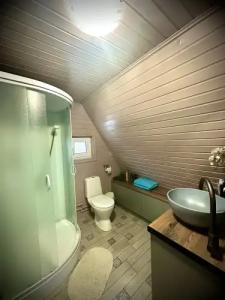 Три лисы - 27