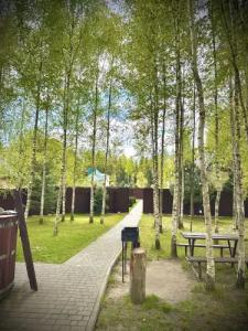 Три лисы - 23