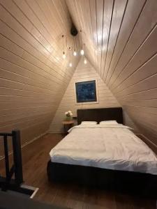 Три лисы - 19