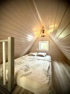 Три лисы - 33