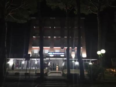 Madonna Del Pino - 0