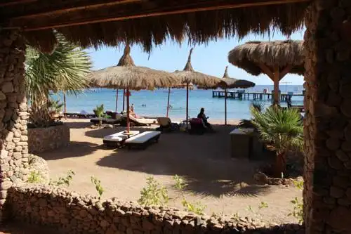 Sunshine Divers Club - Il Porto - 0