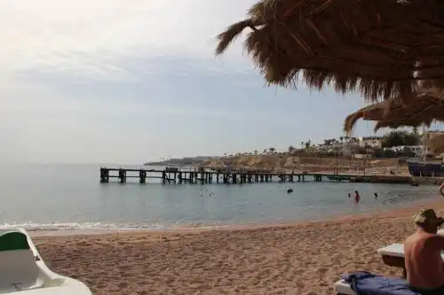 Sunshine Divers Club - Il Porto - 25