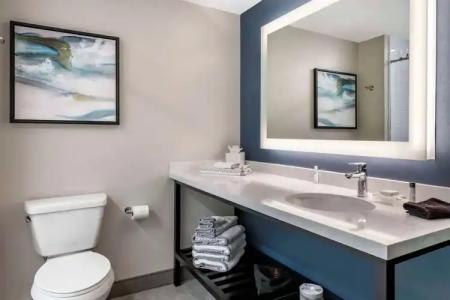 Cambria Orlando Airport - 35