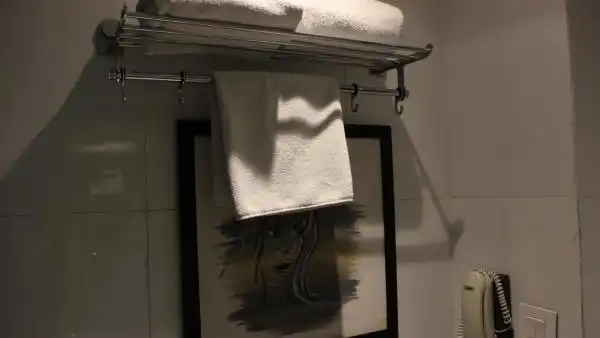 Regenta Inn Jaipur, Adarsh Nagar - 42