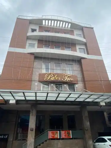 Connects Palm Tree - 15