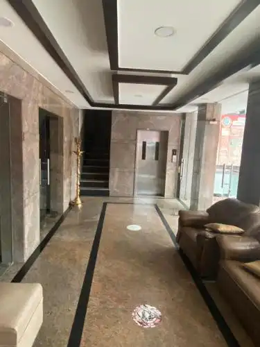 Connects Palm Tree - 4