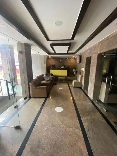 Connects Palm Tree - 12