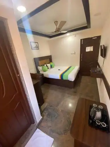 Connects Palm Tree - 18