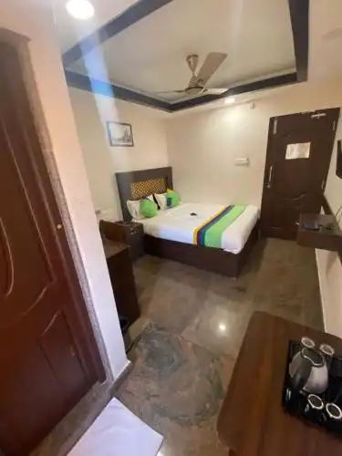 Connects Palm Tree - 14