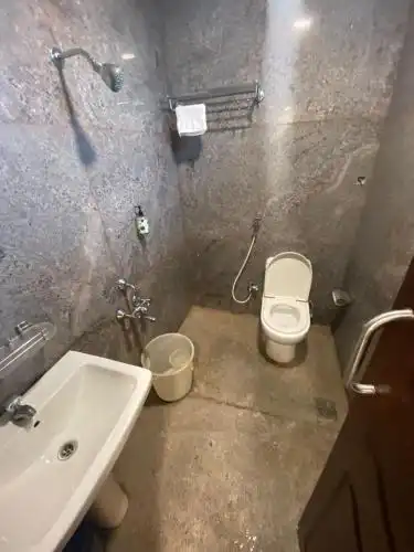 Connects Palm Tree - 19