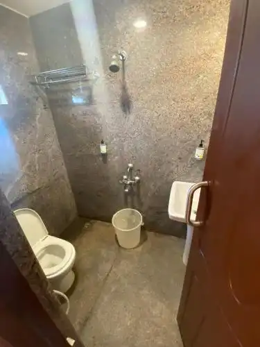 Connects Palm Tree - 21