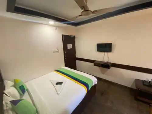 Connects Palm Tree - 2