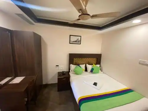 Connects Palm Tree - 22