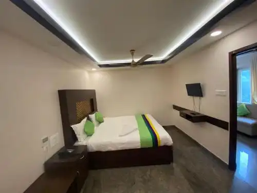 Connects Palm Tree - 20