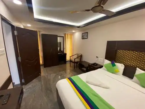 Connects Palm Tree - 23