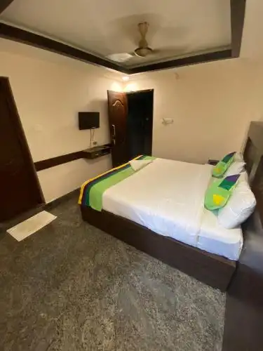 Connects Palm Tree - 27