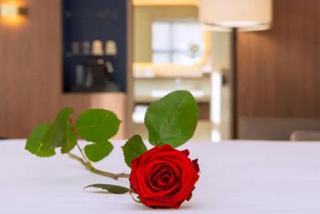 Radisson Blu, Rouen Centre - 10