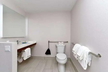 Holiday Inn Express Orlando - South Park, An Ihg - 47