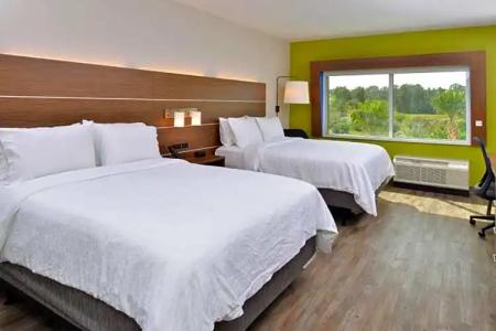 Holiday Inn Express Orlando - South Park, An Ihg - 56