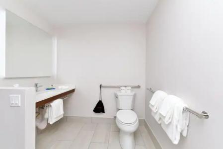 Holiday Inn Express Orlando - South Park, An Ihg - 6