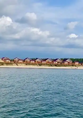 Медведь - 3