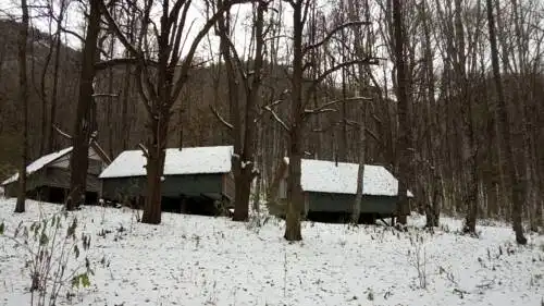Затерянный мир - 58
