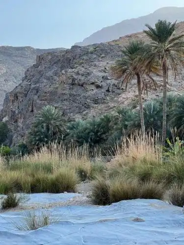 Wadi Al Arbeieen Resort - 12