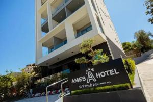 Ames Hotel & Spa, Влера