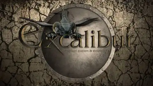 Excalibur miniHotel - 8
