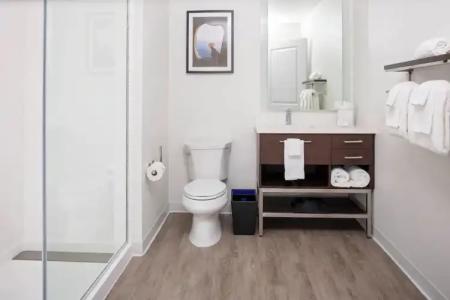 TownePlace Suites by Marriott Orlando Airport - 31