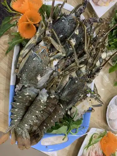 Tuấn Vũ - 33