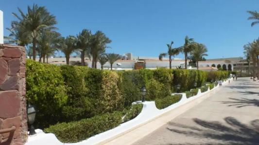 Sharm hills resort ( 1 bed room flat) - 72