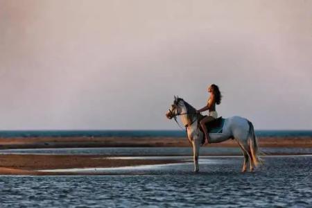 Boulevard Apartment - 14