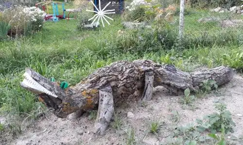 Отдых Компанией На Нарочи - 35
