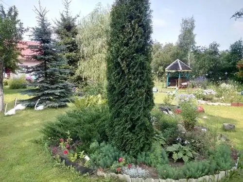 Отдых Компанией На Нарочи - 26