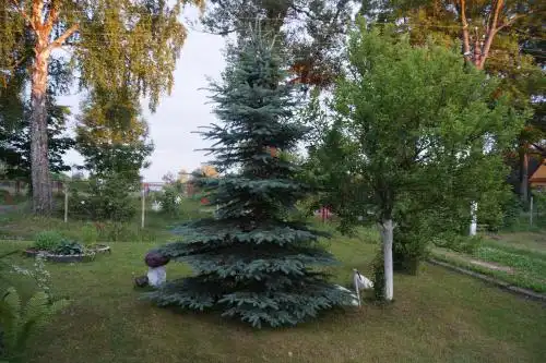 Отдых Компанией На Нарочи - 29
