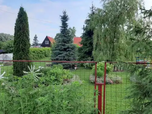 Отдых Компанией На Нарочи - 28