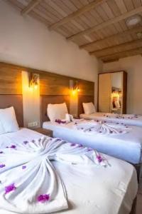 Historical Museum Resort - 42