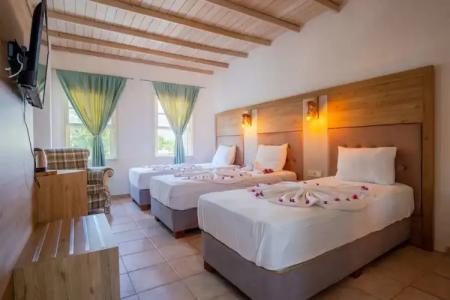 Historical Museum Resort - 3