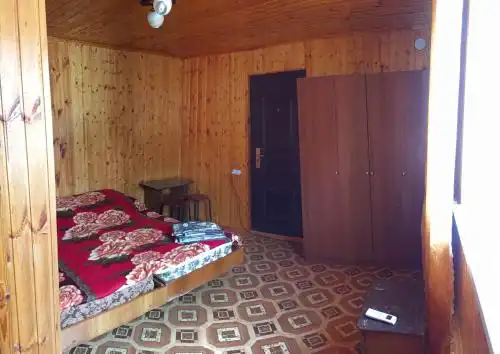 Кипарис - 26