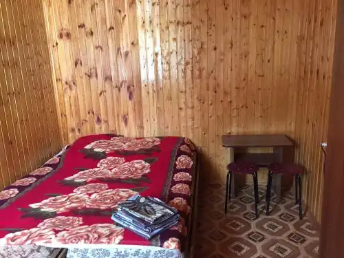 Кипарис - 27