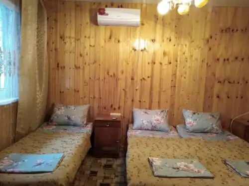 Кипарис - 40