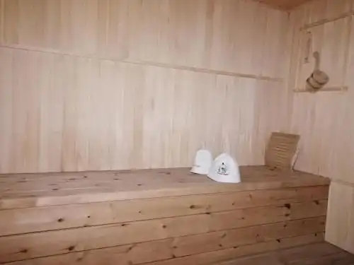с бассейном и сауной - 8